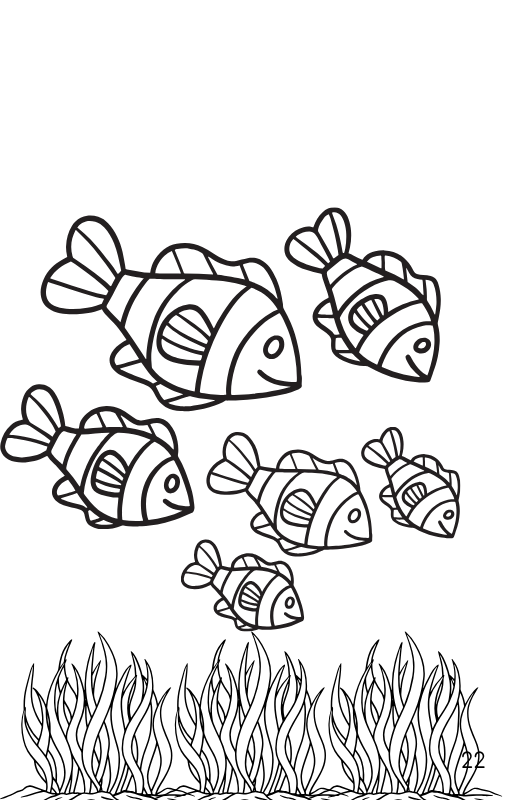 OCEAN FRIENDS