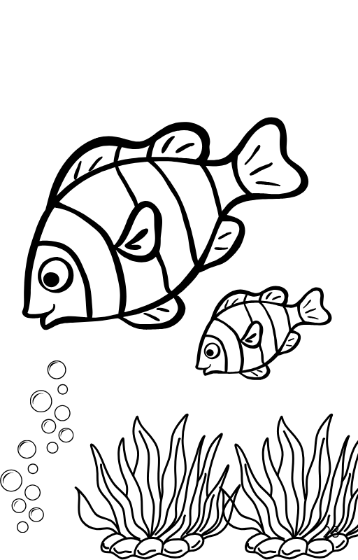 OCEAN FRIENDS